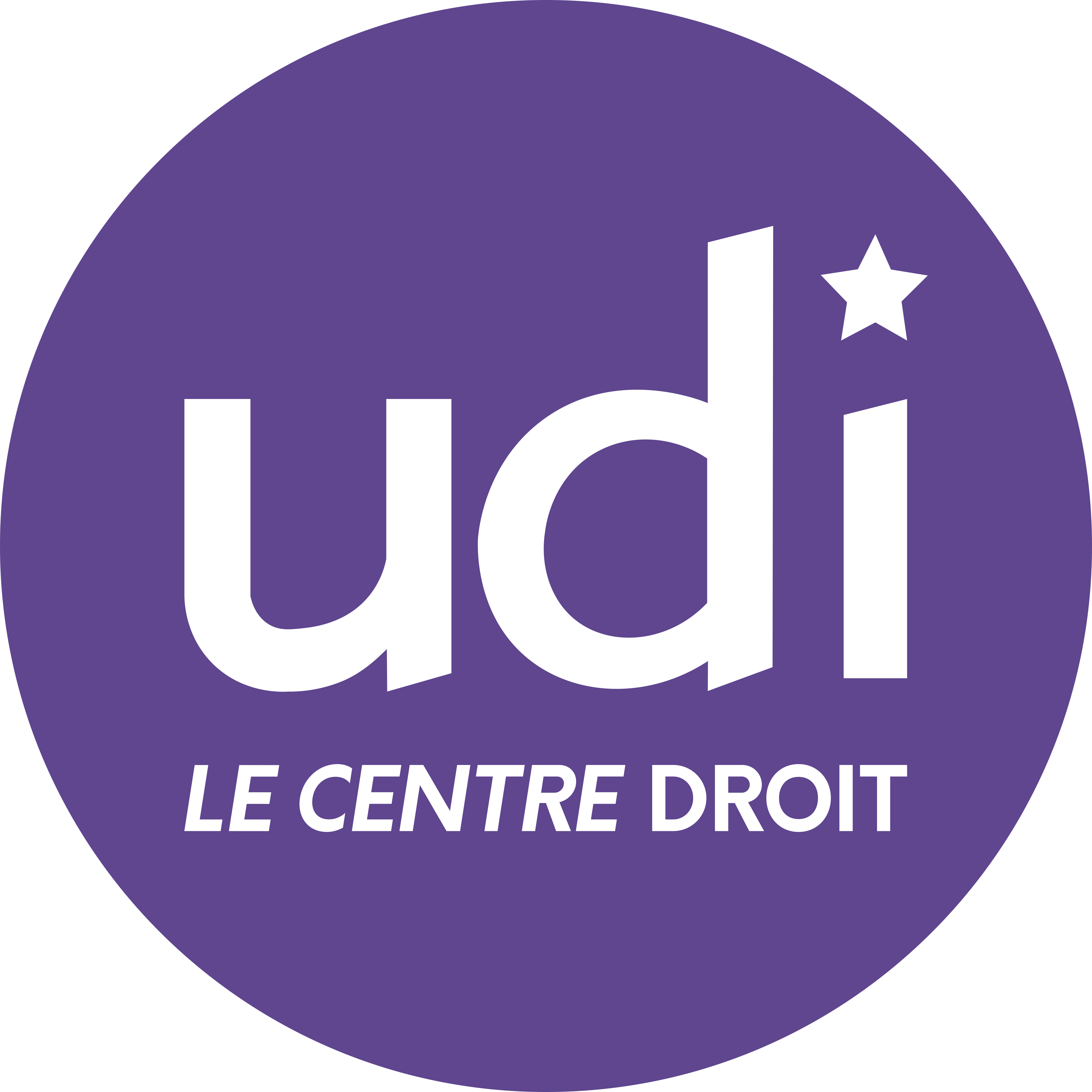 Logo de UDI